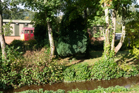 blurred_azuma-1.jpg