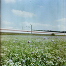blurred_azuma.jpg