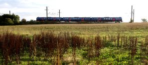TPE_Overton_UM3A7755r.jpg