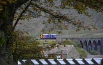 DSC_50585aw.jpg