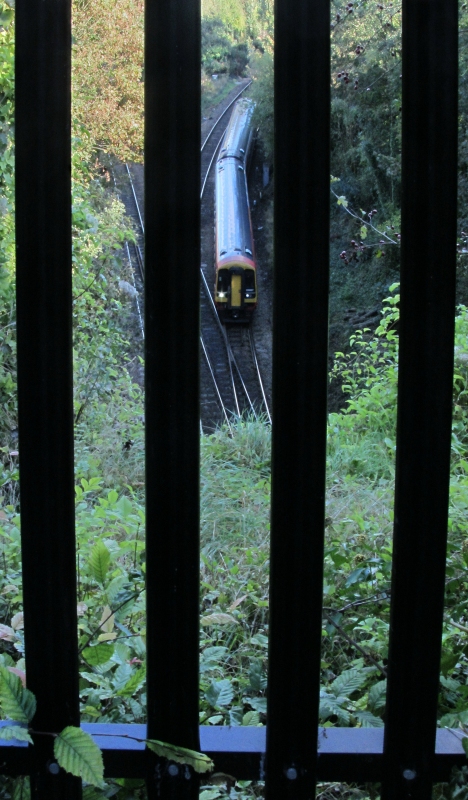 Behind bars
Class 158 at Salisbury Tunnel with 13.07 from Romsey
