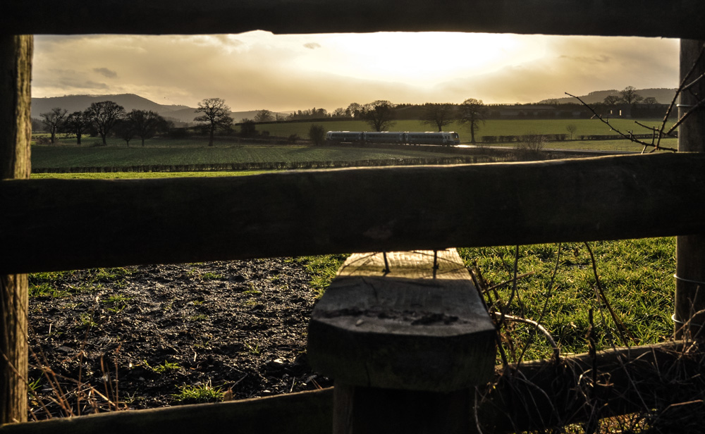 Marches Style
An ATW Coradia 175 over some rail glint from the low Winter sun, taken at Bushmoor, north of Craven Arms.
