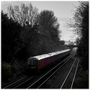 DSC_5435-JpegB.jpg