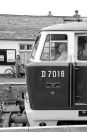 D15018_-_D7018_Blue_Anchor_31-07-21_BW.jpg