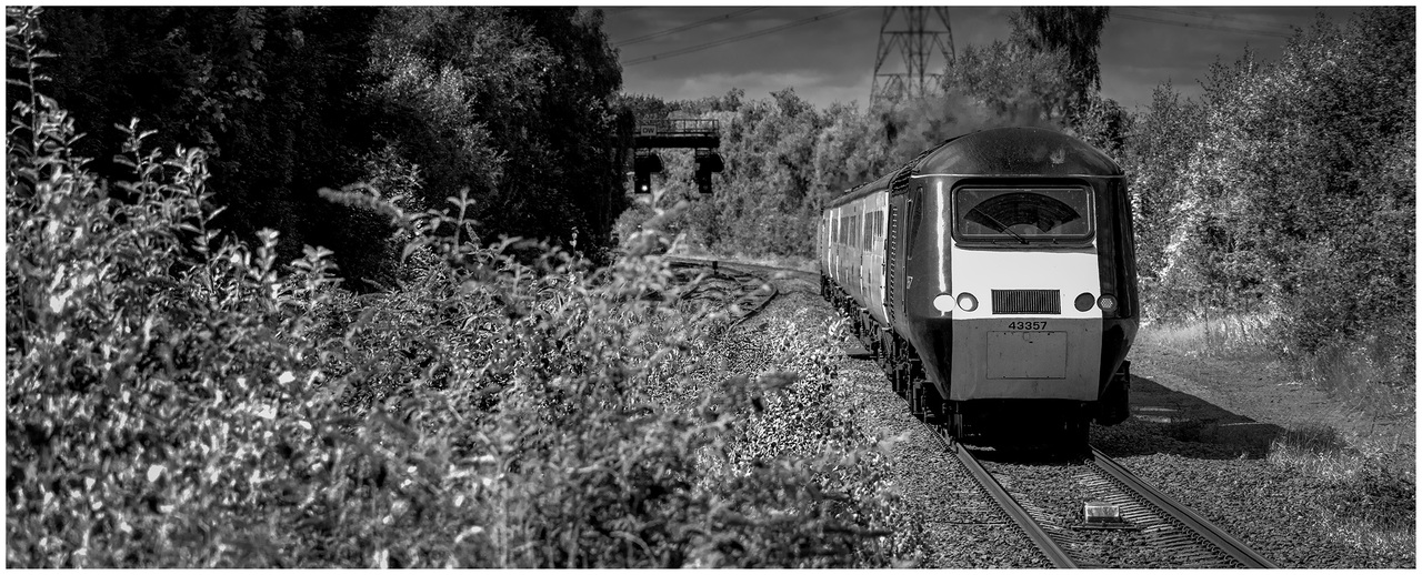 Like the old days
Well almost in seeing an HST race through Water Orton, once a common daily sight.
43357 leads the 1Q20 0534 London Paddington to Derby R.T.C.(Network Rail) on a hot sunny 16-08-24.
